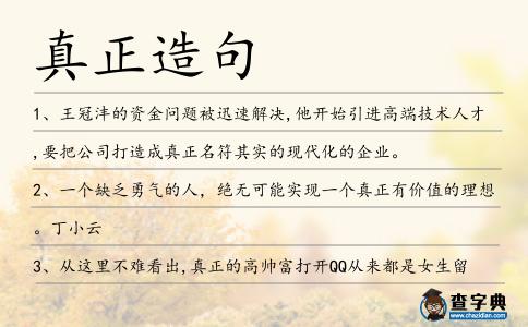 真正造句