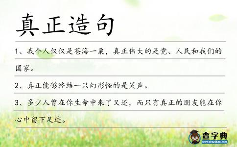 真正造句