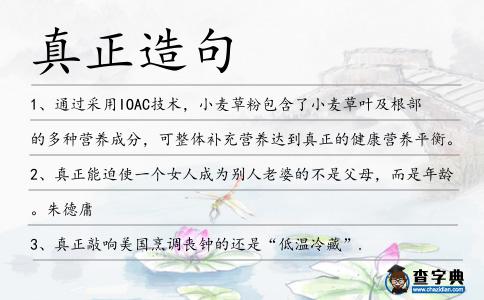 真正造句