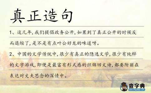 真正造句