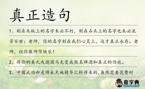 真正造句