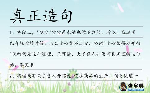 真正造句