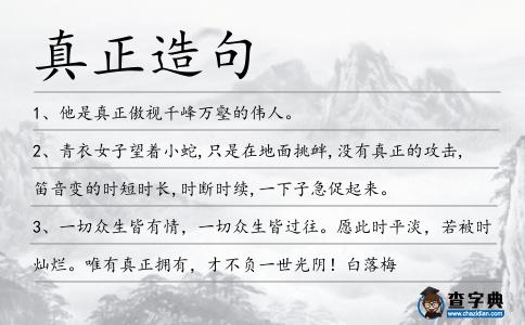 真正造句