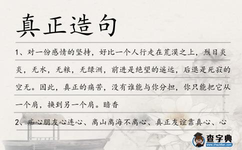 真正造句