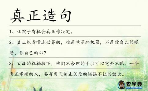 真正造句