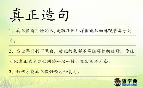 真正造句
