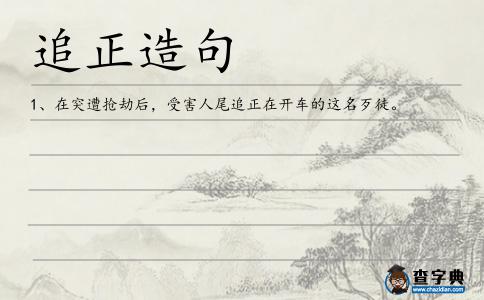 追正造句
