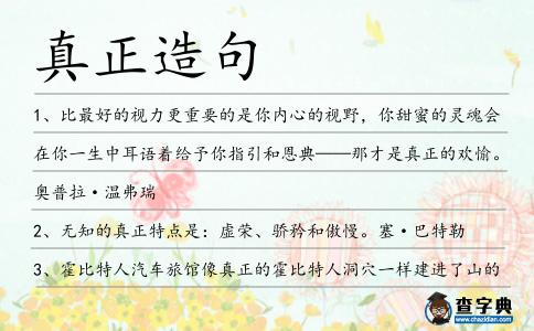 真正造句
