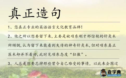 真正造句