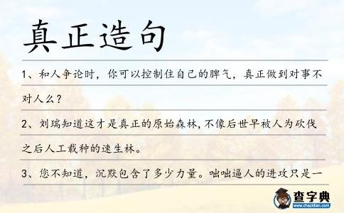 真正造句