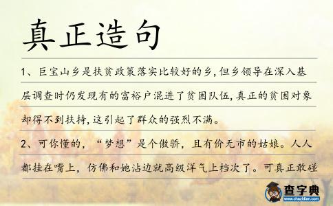 真正造句