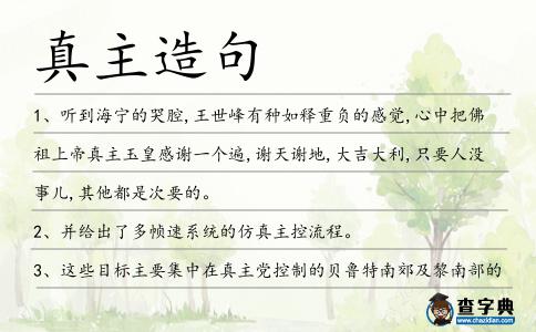真主造句