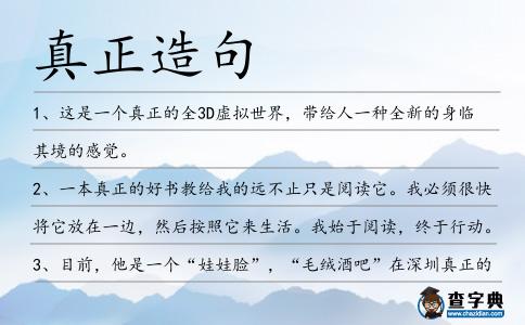 真正造句