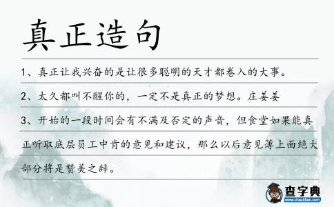 真正造句