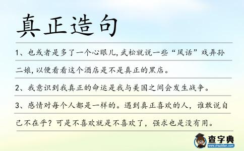 真正造句