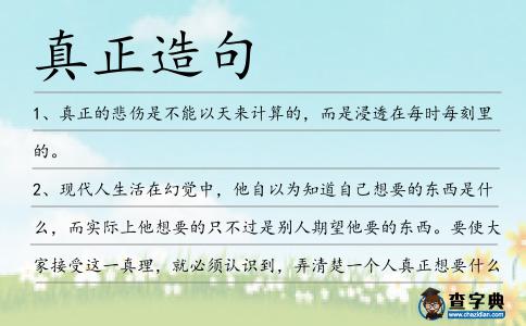 真正造句