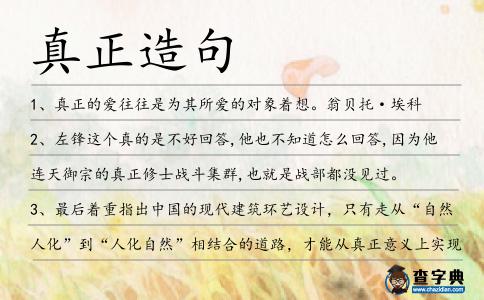 真正造句