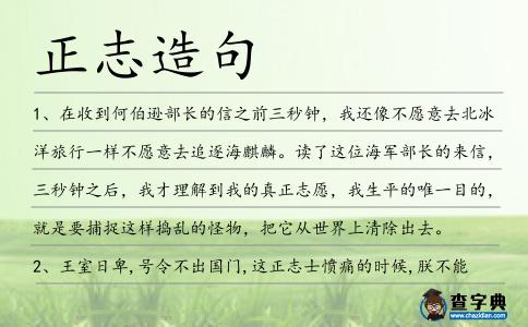 正志造句