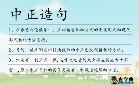 中正造句