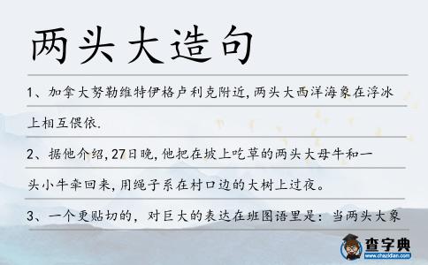 兩頭大造句