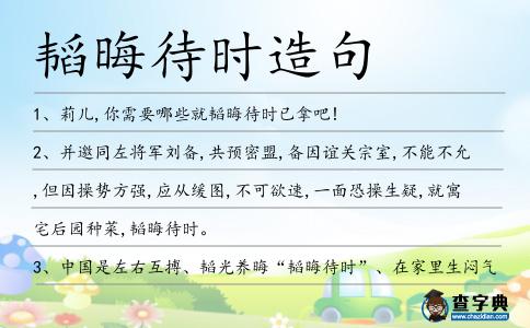 韜晦待時造句