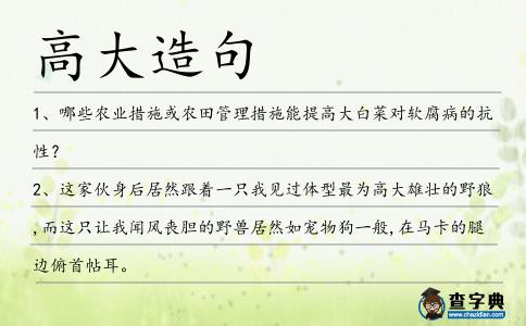 高大造句