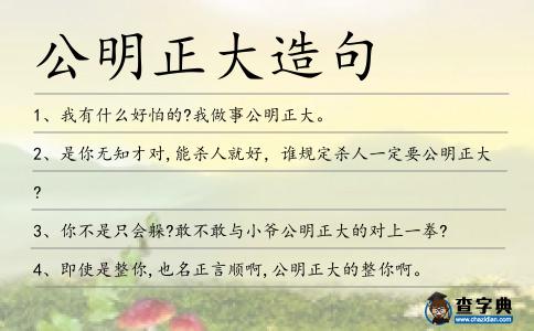 公明正大造句