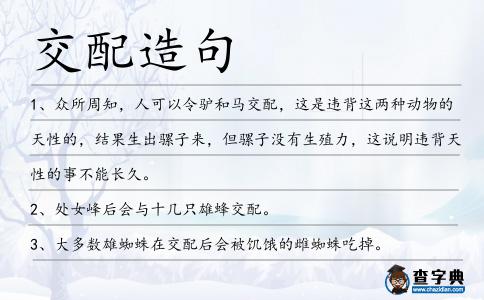 交配造句