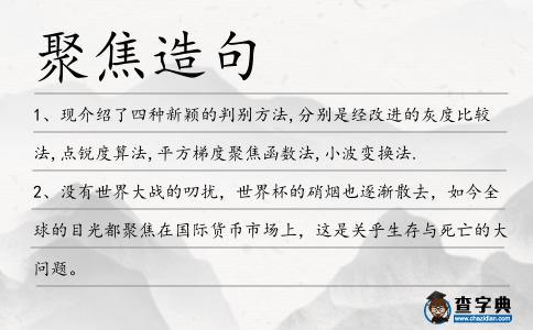 聚焦造句