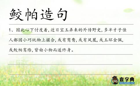 鮫帕造句