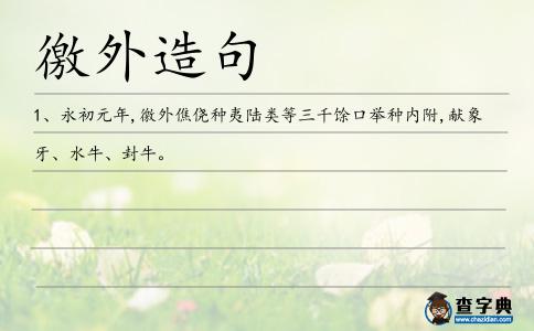 徼外造句
