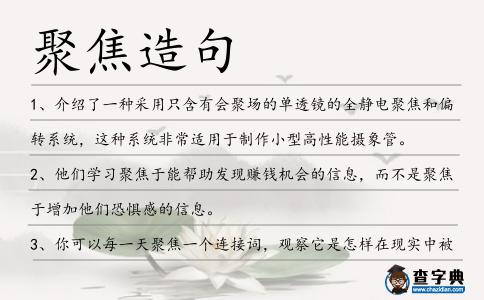 聚焦造句