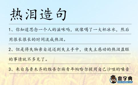 熱淚造句