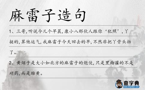 麻雷子造句
