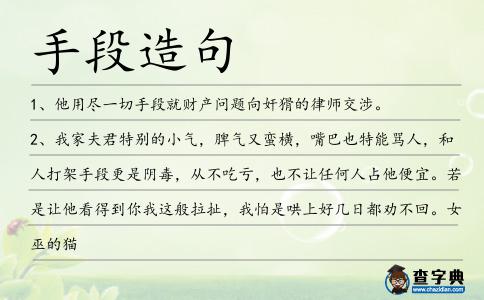 手段造句