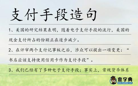 支付手段造句