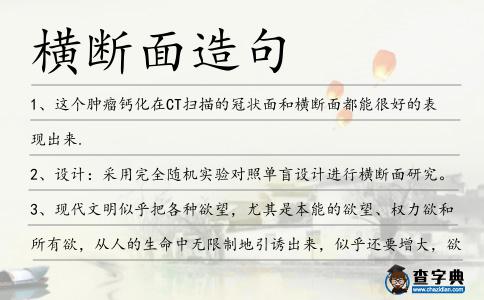 橫斷面造句