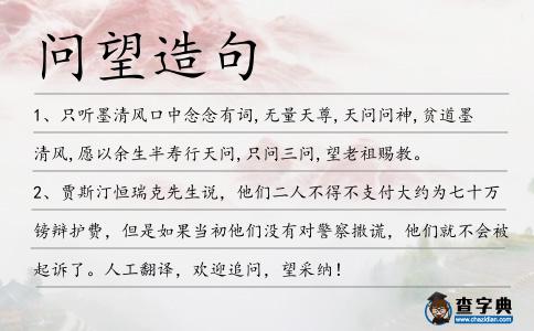 問望造句