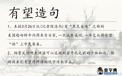 有望造句
