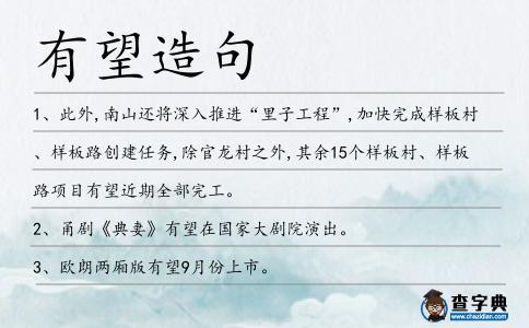 有望造句