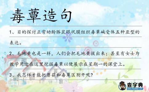 毒蕈造句