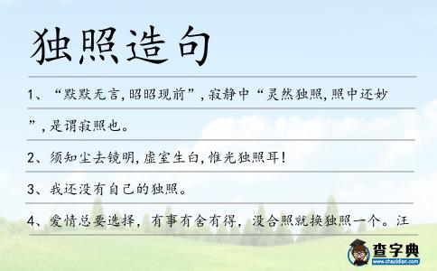 獨(dú)照造句