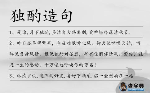 獨酌造句