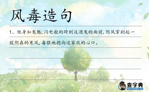 風毒造句