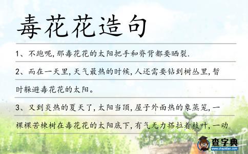 毒花花造句