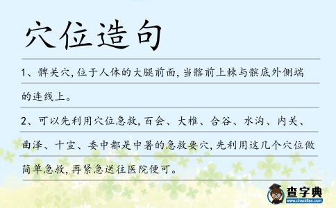 穴位造句