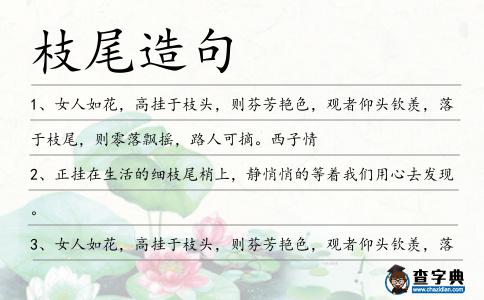 枝尾造句