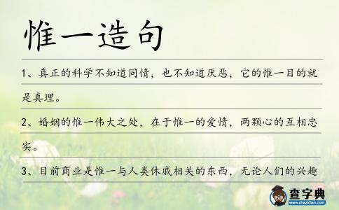 惟一造句