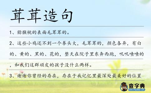茸茸造句