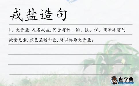 戎鹽造句